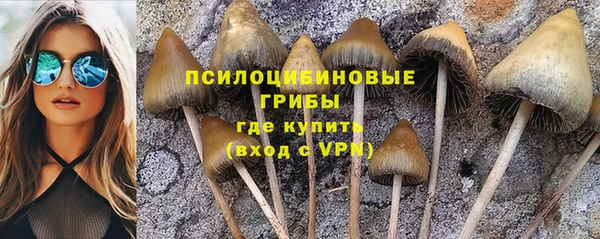 мескалин Надым