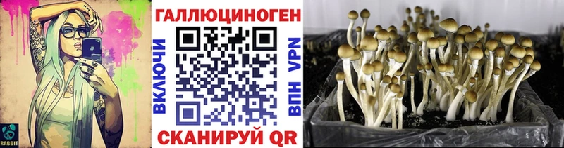 Галлюциногенные грибы мицелий  Купить  Ейск 